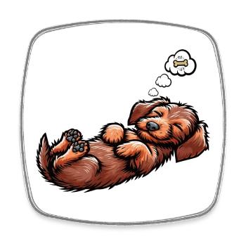 wire-haired dachshund dachshund dachshund owner Teckel Tekkel - Square fridge magnet - white - Front