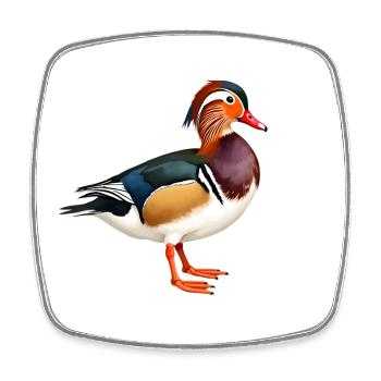 mandarin duck - Square fridge magnet - white - Front