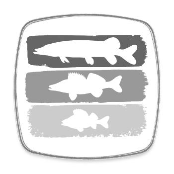 Pike Zander Perch - Square fridge magnet - white - Front