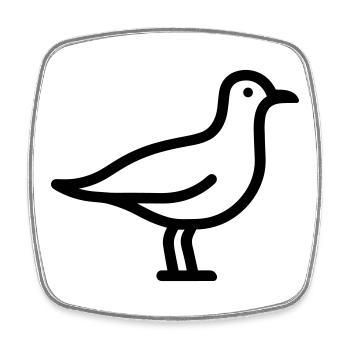 Seagull - Square fridge magnet - white - Front