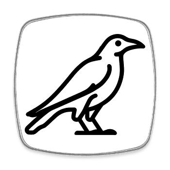 crow - Square fridge magnet - white - Front