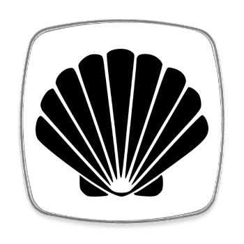 Cadeau de voyage Vacances Plage Scallop Shell - Magnet carré - blanc - Devant