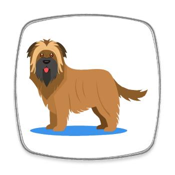 Wuscheliger Briard (Comic) - Viereckiger Kühlschrankmagnet - Weiß - Vorne