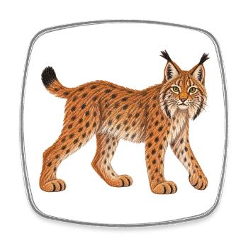 Luchs - Viereckiger Kühlschrankmagnet - Weiß - Vorne