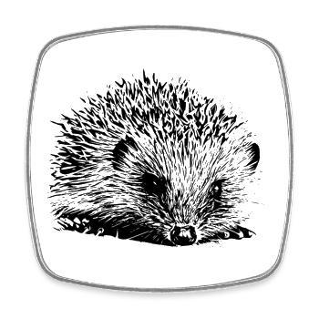 Hedgehog - Square fridge magnet - white - Front