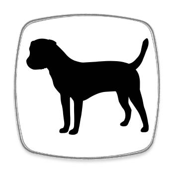 Border Terrier - Square fridge magnet - white - Front
