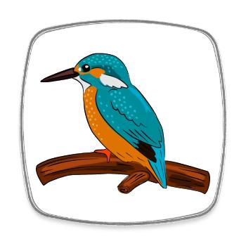 eisvogel vogel bunt - Viereckiger Kühlschrankmagnet - Weiß - Vorne