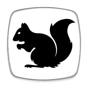 Eichhörnchen - Viereckiger Kühlschrankmagnet - Weiß - Vorne