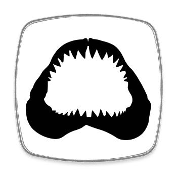 Shark Jawbone - Square fridge magnet - white - Front