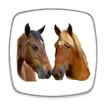 Twin Horses Umarmung - Viereckiger Kühlschrankmagnet - Weiß - Vorne
