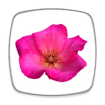 Hyper-realistic fuschia pink hand-drawn with a marker - Square fridge magnet - white - Front