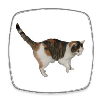 Katze - Viereckiger Kühlschrankmagnet - Weiß - Vorne