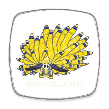 Sea snail, sapsucker, Costasiella sp.01 - Square fridge magnet - white - Front