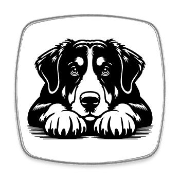Appenzeller Mountain Dog Head with Paws - Square fridge magnet - white - Front