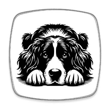 Münsterländer - Square fridge magnet - white - Front