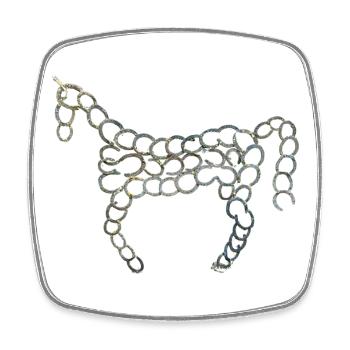 Fabelhaftes Hufeisenpferd Design - Viereckiger Kühlschrankmagnet - Weiß - Vorne