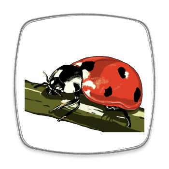 Ladybug on plant stem - Square fridge magnet - white - Front