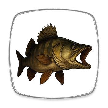 Detailed Zander Fish Artwork - Square fridge magnet - white - Front