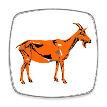 Saint Patrick's Day Goat - Square fridge magnet - white - Front