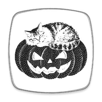 Cat sleeping on pumpkin - Square fridge magnet - white - Front