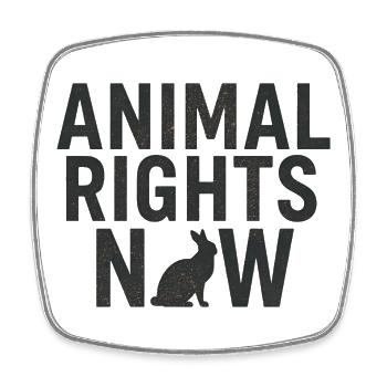 Animal Rights Now Statement Typography - Square fridge magnet - white - Front