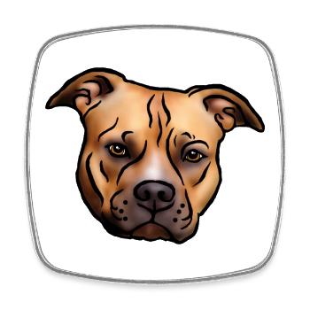 Tête de Staffordshire Terrier - Magnet carré - blanc - Devant