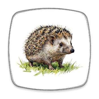 Watercolor Hedgehog in the Grass - Square fridge magnet - white - Front