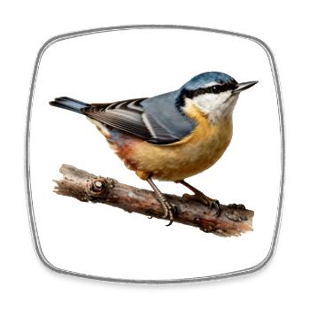 Nuthatch on branch - Square fridge magnet - white - Front