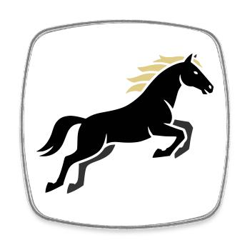 Noble Horse Mane Equestrian - Square fridge magnet - white - Front