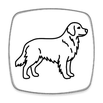 Golden Retriever - Viereckiger Kühlschrankmagnet - Weiß - Vorne