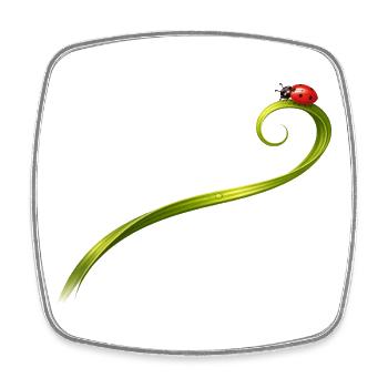 Ladybug on curved blade of grass - Square fridge magnet - white - Front
