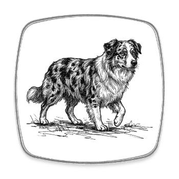 Australian Shepherd Sketch – Hund Design - Viereckiger Kühlschrankmagnet - Weiß - Vorne