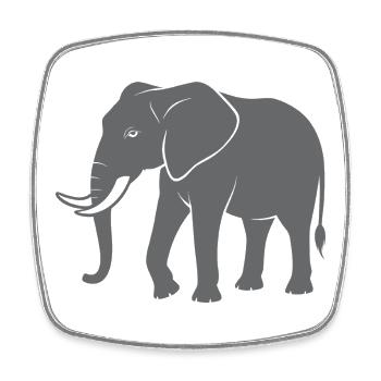 Éléphant - Magnet carré - blanc - Devant