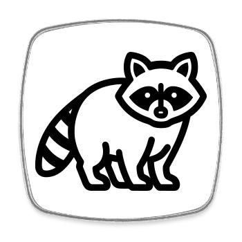 raccoon - Square fridge magnet - white - Front