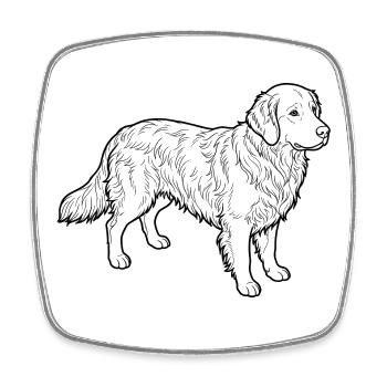 Sleek Retriever Linienzeichnung - Viereckiger Kühlschrankmagnet - Weiß - Vorne