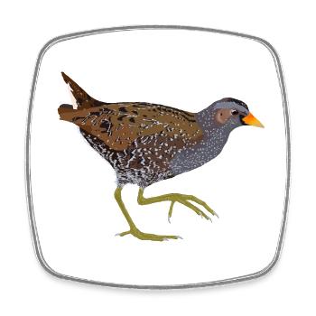 Spotted Crake - Square fridge magnet - white - Front
