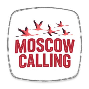 Moskau ruft Flamingos - Viereckiger Kühlschrankmagnet - Weiß - Vorne