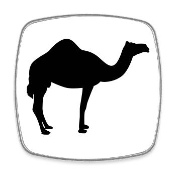 Kamel | Wüste | Dubai | Wüstenschiff - Magnet carré - blanc - Devant