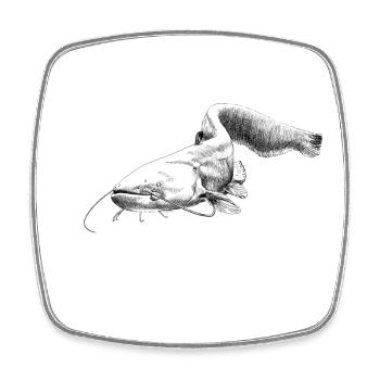catfish - Square fridge magnet - white - Front