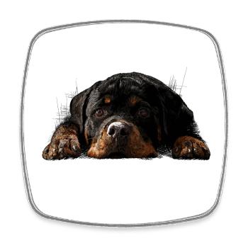 Rottweiler - Square fridge magnet - white - Front
