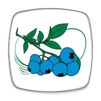 Blaubeeren - Viereckiger Kühlschrankmagnet - Weiß - Vorne