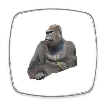 Gorilla - Viereckiger Kühlschrankmagnet - Weiß - Vorne