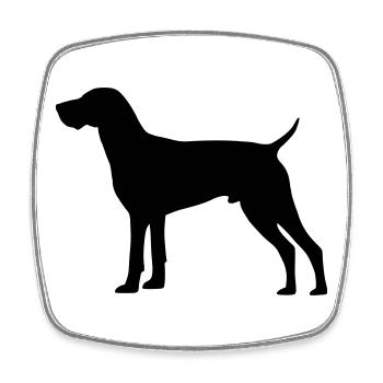 Jagdhund Deutsch Kurzhaar - Viereckiger Kühlschrankmagnet - Weiß - Vorne
