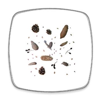 Cones, botany - Square fridge magnet - white - Front