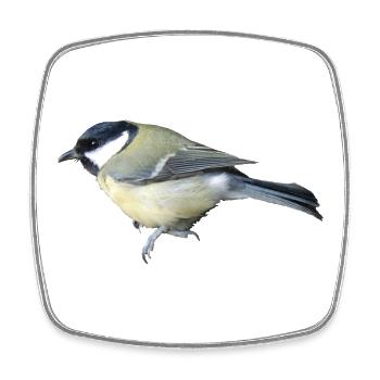 Great Bird - Square fridge magnet - white - Front