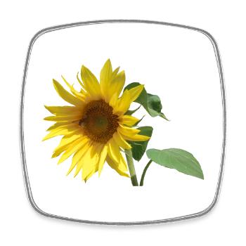 Sunflower - Square fridge magnet - white - Front