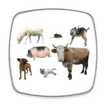 Ferme - Magnet carré - blanc - Devant