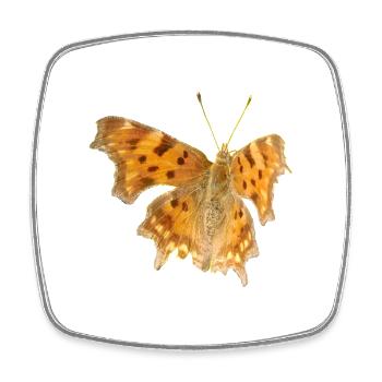 Papillon C-Moth - Magnet carré - blanc - Devant