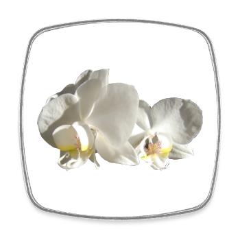 Orchid white - Square fridge magnet - white - Front