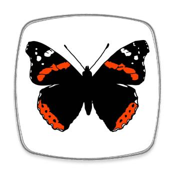Amiral Butterfly - Magnet carré - blanc - Devant